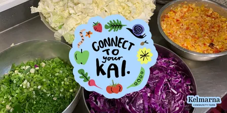 Connect to Your Kai: Fermenting Fundamentals