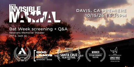Bat Week Screening of "The Invisible Mammal" and Davis Premiere