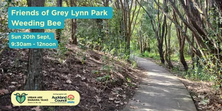 Friends of Grey Lynn Park Weeding bee