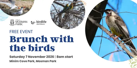 Brunch with the Birds - A Free Guided Walk & Brunch