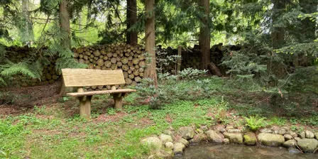 Gardens as Restorative Places (online and face-to-face workshop)