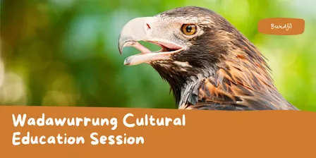 Wadawurrung Cultural Education Session - The Bluff, Barwon Heads