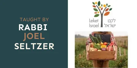 The Torah's First Food Bank: Leket and the Jewish Safety Net