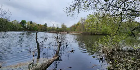 Centennial Park Cleanup