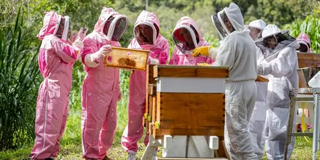 Bees & Brunch at Alsahwa Estate
