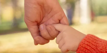 Parents - skills that support emotional regulation at home with SINGMOVEREGULATE @VPCC