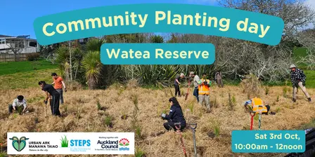 Community Weeding bee at Watea Reserve
