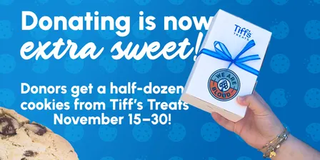 Give Blood & Get a Free Half-Dozen Cookies from Tiff’s Treats!