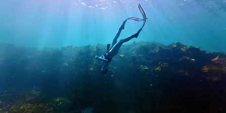 Blueback Freediving & Yoga Community Day SUN 18 OCT 2026