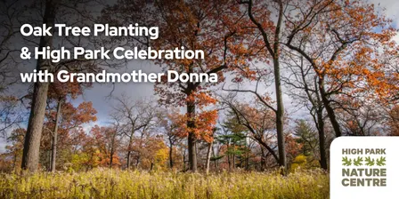 Oak Tree Planting & High Park Celebration with Grandmother Donna