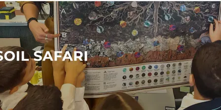Life Rocks- Soil Safari