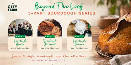 Beyond the Loaf Sourdough 3 part Series