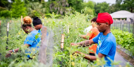 Engaging Youth in Urban Agriculture: The Power of Growing Out of the Margins