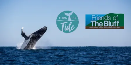 Turning the Tide Film Night