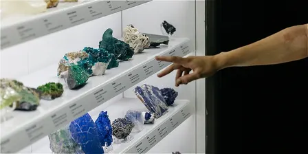 It's In Our Nature: A Queer Tour of the Museum