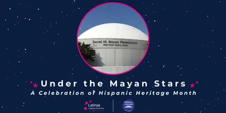 Under the Mayan Stars