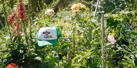 Tech Made Simple: Your Online Gardening Guide