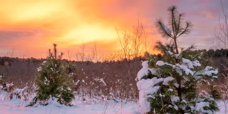 Celebrate the Winter Solstice