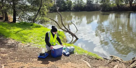 Platypus Watch