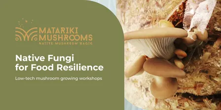 Native Fungi for Food Resilience: Beginners Workshop with Matariki Mushrooms