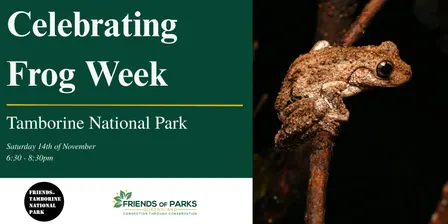 Frog ID Walk - Tamborine National Park