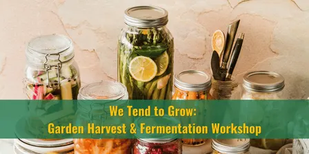 We Tend to Grow: Garden Harvest & Fermentation Workshop