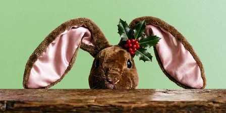 The Velveteen Rabbit Family Event