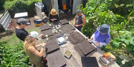 1000 Young Growers for Tāmaki - Corbans Estate