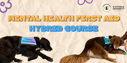 Mental Health First Aid Hybrid Course October
