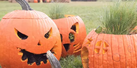 Annual Harvest Festival