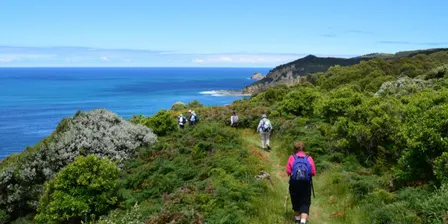 Oot & Aboot - Community Hike - Torquay