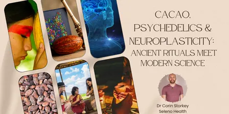 Cacao, Psychedelics & Neuroplasticity: Ancient Rituals Meet Modern Science (Queenstown)