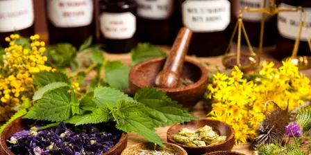 Medicinal Culinary Herb Workshop