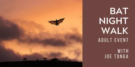 Bat Night Walk (Adults)