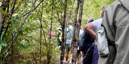 Study Break - Wellbeing Walk for Students | Mangemangeroa