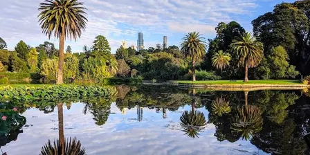 NeuroSparks Picnic at the Royal Botanic Gardens 🌿