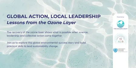 Global Action, Local Leadership Lessons from the Ozone Layer