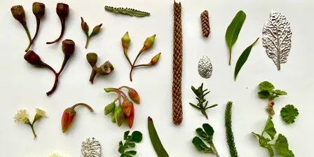 Found in Nature: Transform a Personal Treasure into Silver Jewellery (Adelaide)