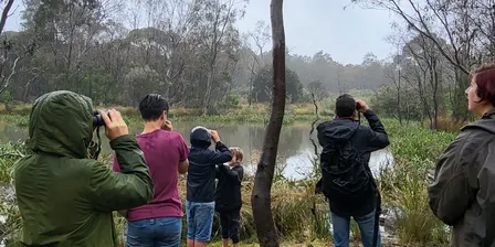 Intro to Birding
