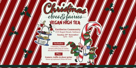 Christmas Elves and Fairies High Tea