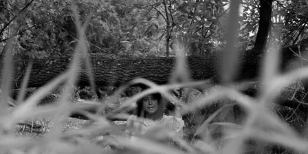 Adelin Phelps presents Log
