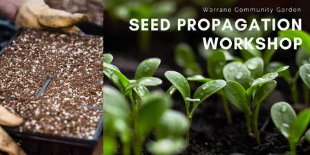 Sunday Skillshare Series 2026 (Warrane Community Garden)