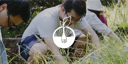 The Producers | Working Bee