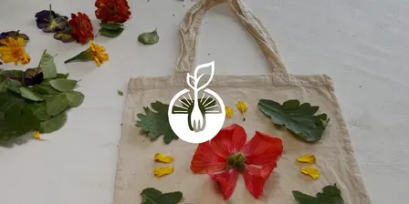 The Producers x Alternative Fashion Society | Petals and Pigments