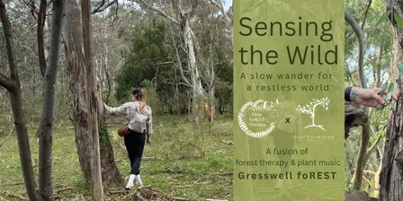 Forest Therapy & Plant Music - Gresswell Forest