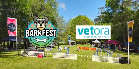 Cambridge Dog Dash - Brought to you by Vetora