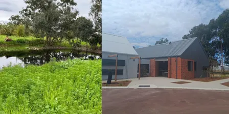 Grow, Connect, Volunteer: A Micro-Volunteering Gardening Session 🪴