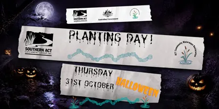 Halloween Planting Day! Restoring the Murrumbidgee (Saturday October 31st)