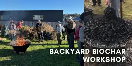 Backyard Biochar