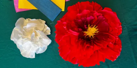 Giant Luxe Paper Flowers with Robyn